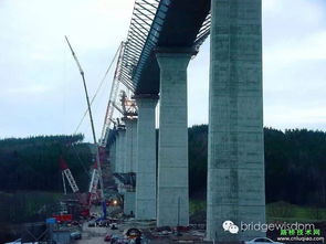 大跨度钢混组合梁桥施工图片 Talbrücke Reichenbach 路桥技术网